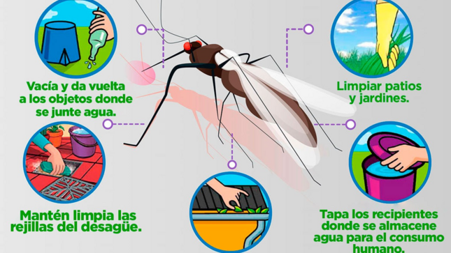 imagen1