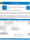 Vista preliminar de documento ANEXOS -