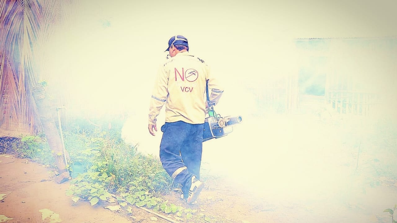 Tumbes: fumigan más de 5000 viviendas de Pampa Grande contra el dengue 