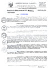 Vista preliminar de documento 000004-2023