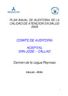 Vista preliminar de documento Archivo_plan_auditoria_2009.pdfXwlXu