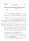 Vista preliminar de documento Resolución Gerencial General RegionalFMHOB