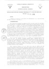 Vista preliminar de documento Resolución Gerencial General RegionalcLtiQ