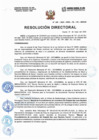 Vista preliminar de documento Resolucion Directorial N240-2023-DIRESA