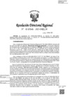 Vista preliminar de documento RDR-0356-2023-DRELM
