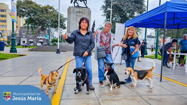 ✨ Esta mañana se realizó nuestra Campaña Veterinaria #Gratuita en el Parque Cáceres. Los 🐕 peluditos 🐈 recibieron atención médica de parte de nuestro experimentado veterinario y también desparasitación y vacunación para los canes
