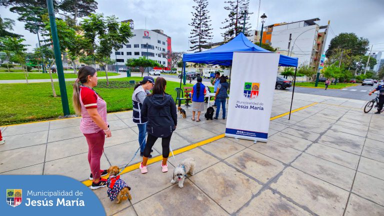 ✨ Esta mañana se realizó nuestra Campaña Veterinaria #Gratuita en el Parque Cáceres. Los 🐕 peluditos 🐈 recibieron atención médica de parte de nuestro experimentado veterinario y también desparasitación y vacunación para los canes