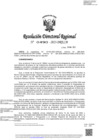 Vista preliminar de documento RDR-0490-2023-DRELM