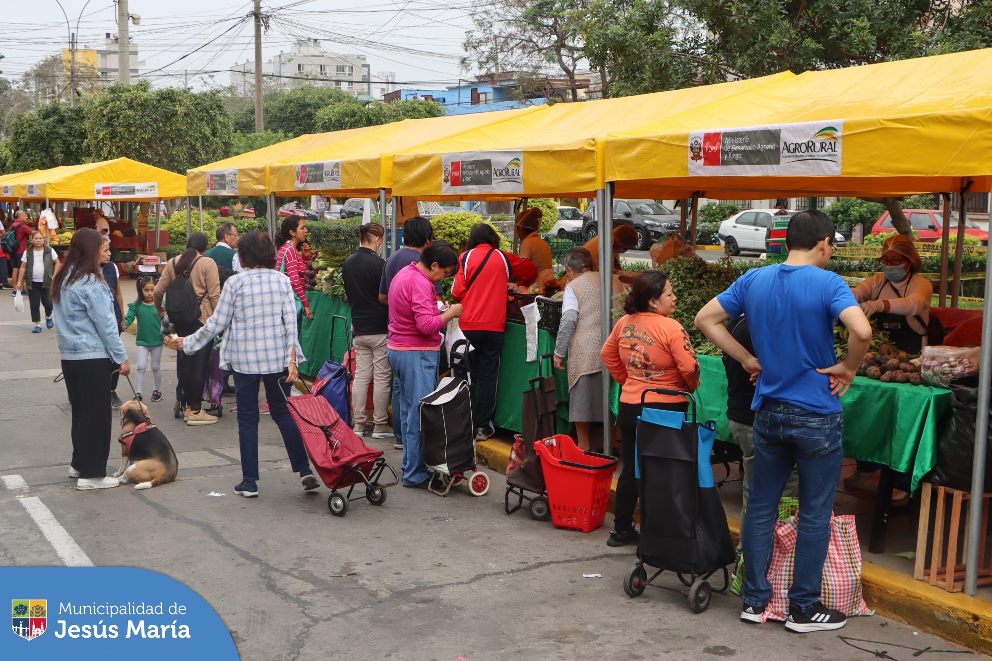 Vecinos aprovechen los mejores productos directo del campo a tu mesa 🌽🥔🥕
