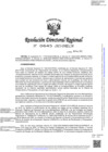 Vista preliminar de documento RDR-0645-2023-DRELM
