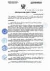 Vista preliminar de documento Resolucion Directorial N245-2023-DIRESA