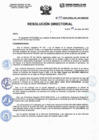 Vista preliminar de documento Resolucion Directorial N220-2023-DIRESA