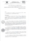 Vista preliminar de documento RD- 2424