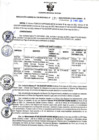 Vista preliminar de documento RGSR N° 177