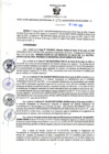 Vista preliminar de documento RGSR N° 178