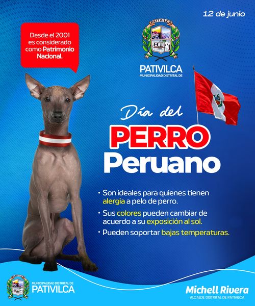 dia del perro peruano