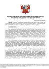 Vista preliminar de documento Resolución Superintendencia Nacional de los Registros Públicos N°109-2023-SUNARP/SN