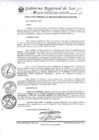 Vista preliminar de documento DO 003-2013-GORE-ICA-PETACC-OA