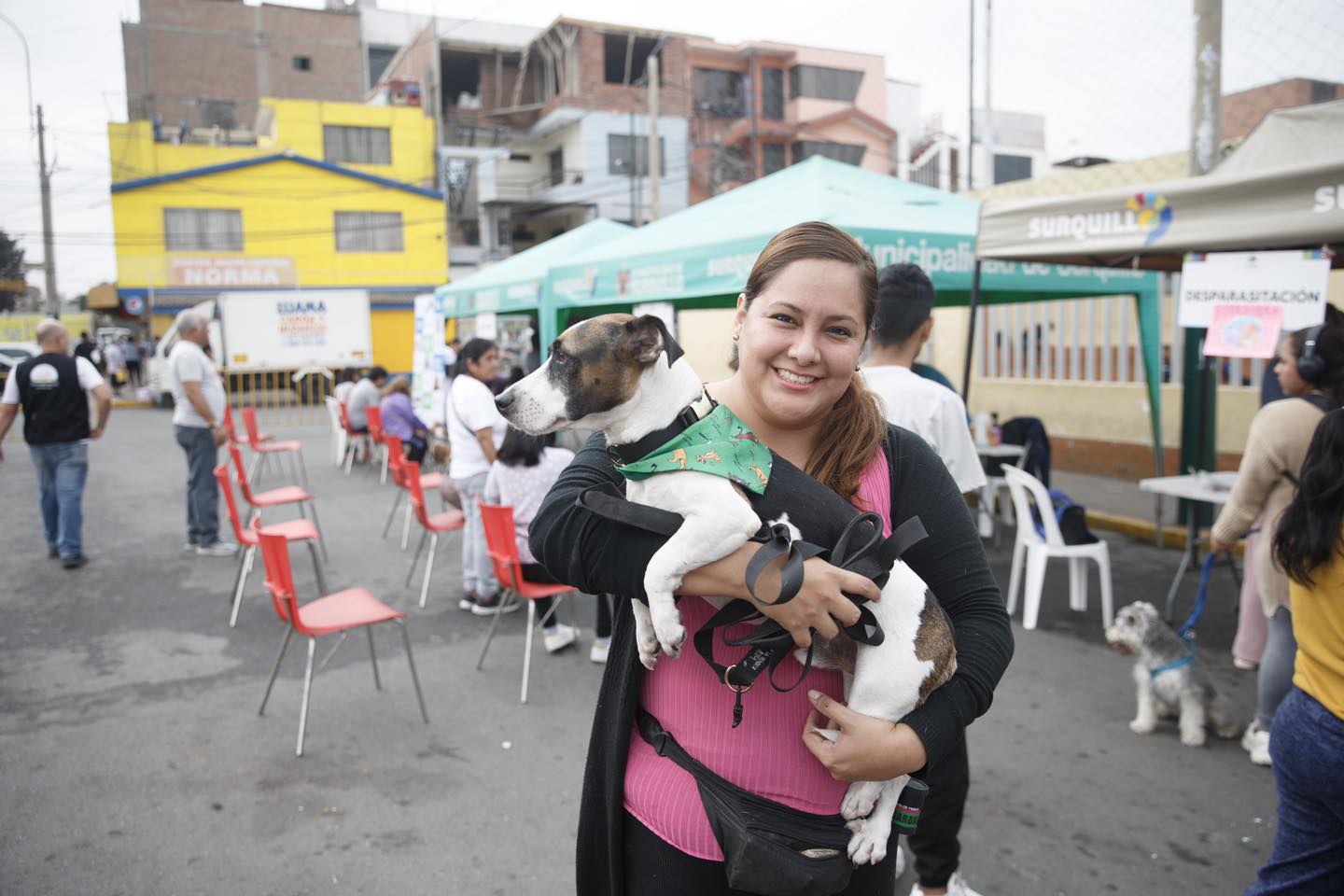 Mascotas saludables en el II Animal Fest.