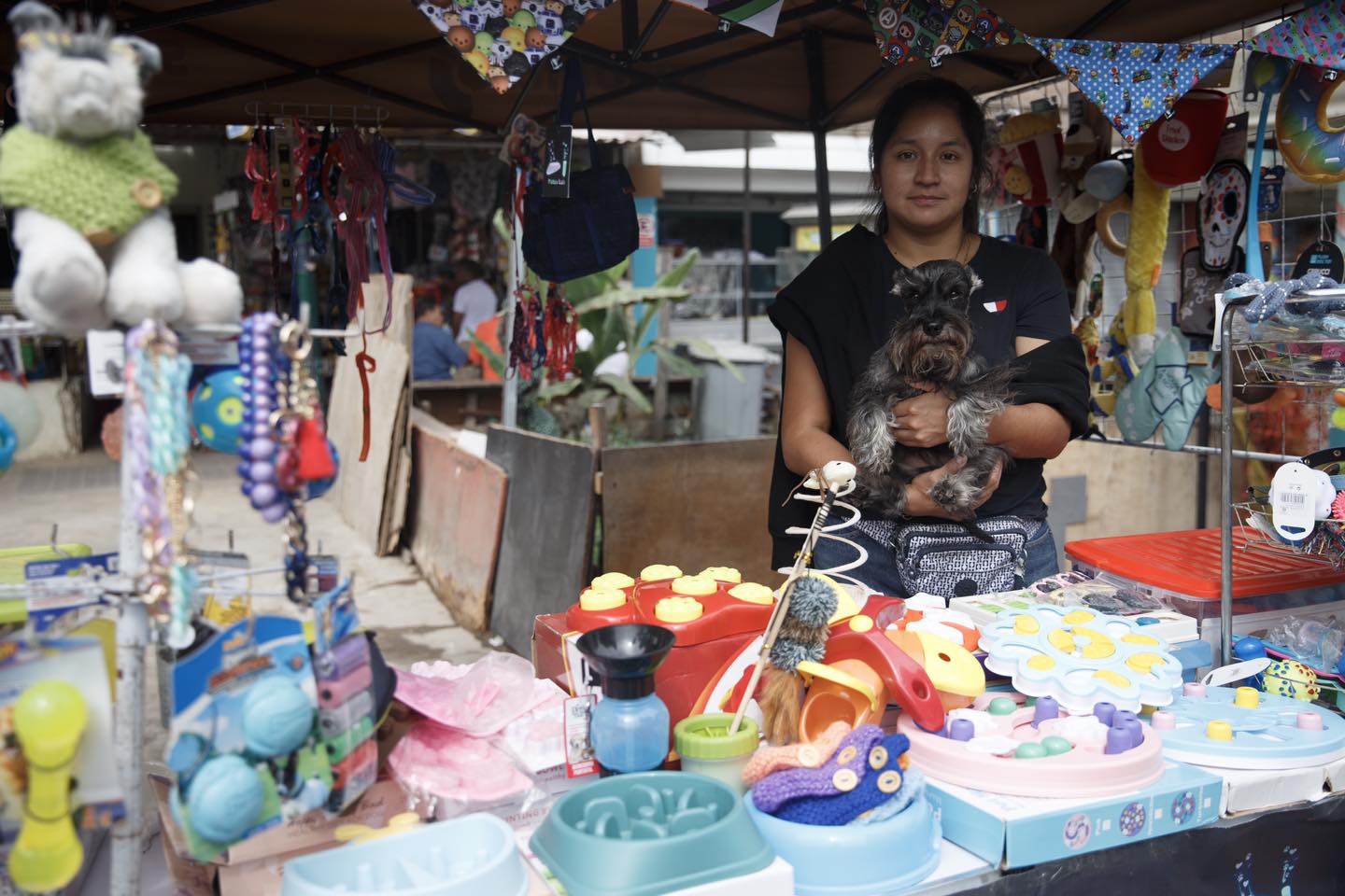 Mascotas saludables en el II Animal Fest.