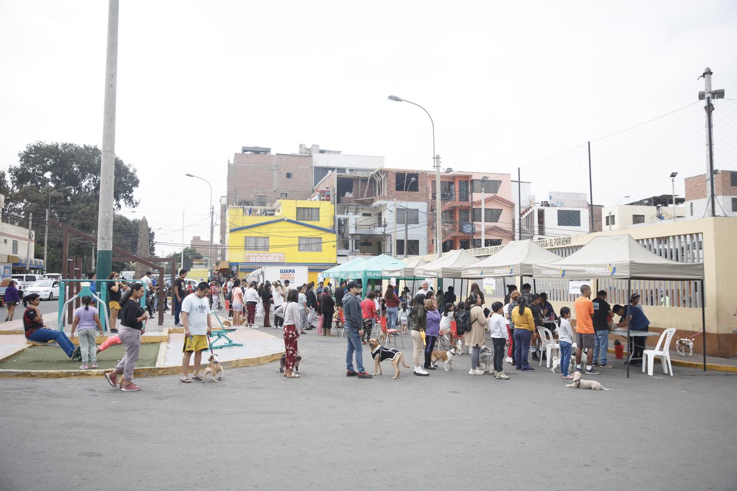 Mascotas saludables en el II Animal Fest.