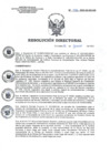 Vista preliminar de documento RD 086-2023-SA-DG-INR
