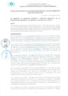 Vista preliminar de documento RGSPyGA_0147_2023_MDI
