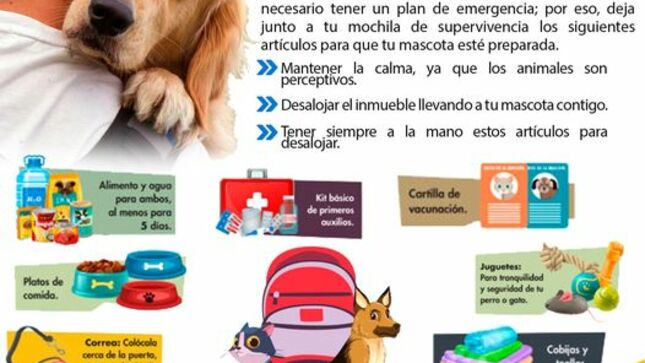 Imagen1
