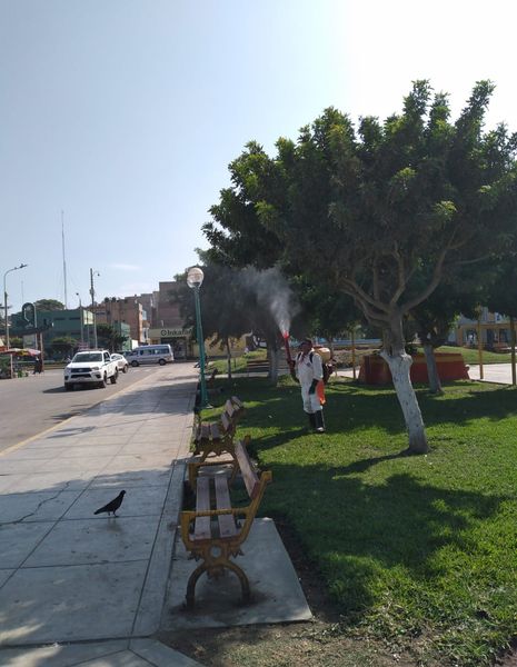 Imagen1