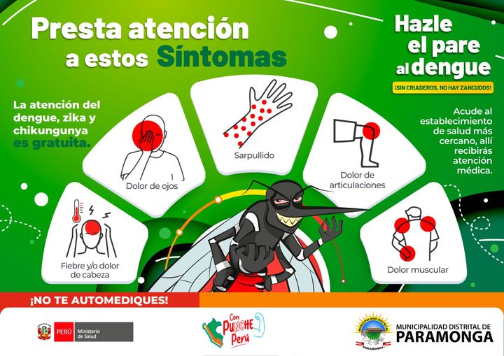 Imagen1
