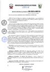 Vista preliminar de documento r195