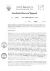 Vista preliminar de documento RDR-0401-2023gO1OD