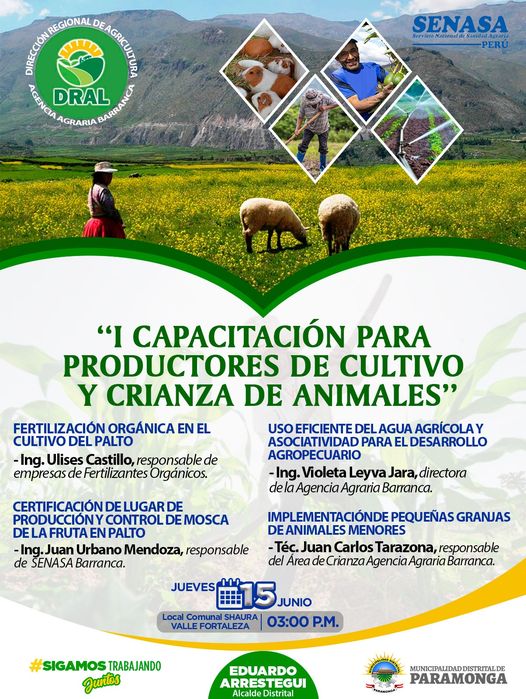Imagen1