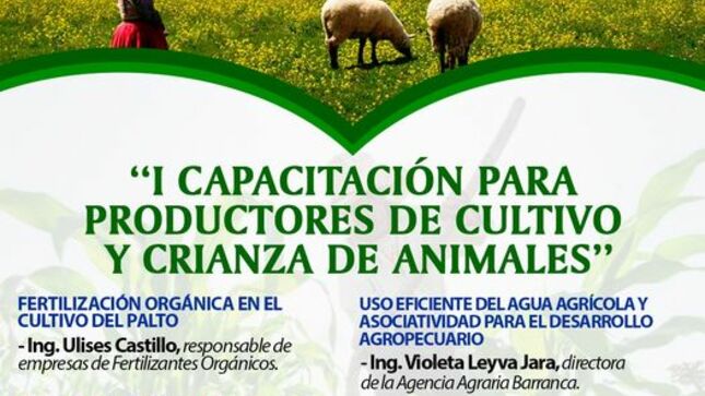 Imagen1