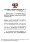 Vista preliminar de documento Resolución Superintendencia Nacional de los Registros Públicos N°111-2023-SUNARP/SN
