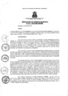 Vista preliminar de documento resoluciongm112019
