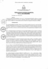 Vista preliminar de documento resoluciongm132019