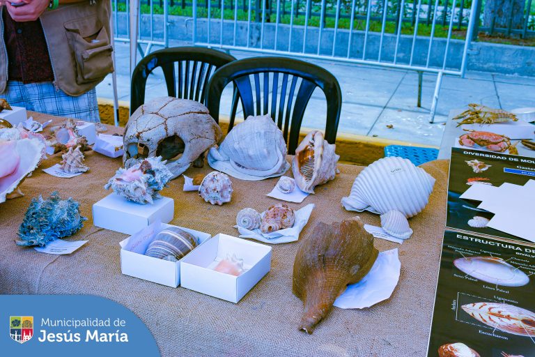🌊 #DíaMundialDeLosOceanos, celebrado el 8 de junio, se realizó un festival con el objetivo de que todos los vecinos pudieran conocer el impacto del cambio climático en los océanos y cómo podemos todos ser de ayuda para reducir la contaminación ♻️