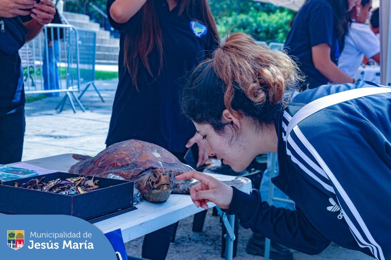 🌊 #DíaMundialDeLosOceanos, celebrado el 8 de junio, se realizó un festival con el objetivo de que todos los vecinos pudieran conocer el impacto del cambio climático en los océanos y cómo podemos todos ser de ayuda para reducir la contaminación ♻️