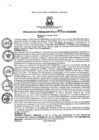 Vista preliminar de documento resoluciongm382019