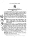 Vista preliminar de documento resoluciongm392019