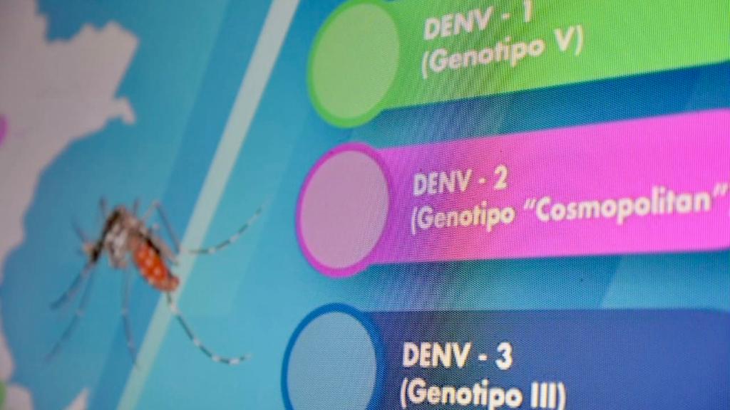 Especialistas del INS identifican tres serotipos de dengue que circulan en 20 regiones del país