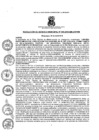 Vista preliminar de documento resoluciongm492019