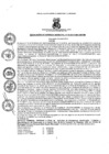Vista preliminar de documento resoluciongm442019