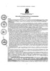 Vista preliminar de documento resoluciongm672019