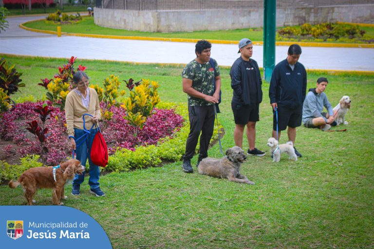 Aprenderás valiosas técnicas y consejos para criar a tu engreído de manera responsable y fomentar una convivencia armoniosa en el distrito. 🐶