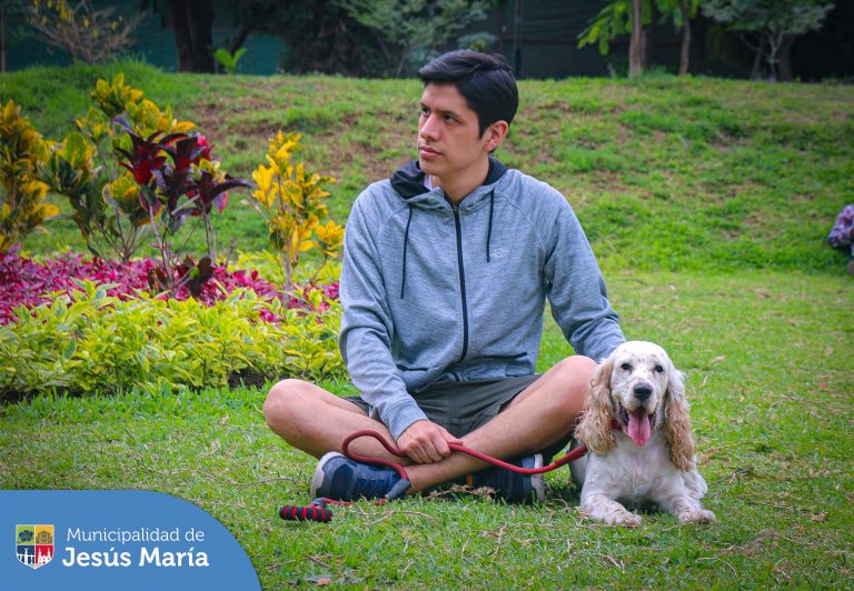 Aprenderás valiosas técnicas y consejos para criar a tu engreído de manera responsable y fomentar una convivencia armoniosa en el distrito. 🐶