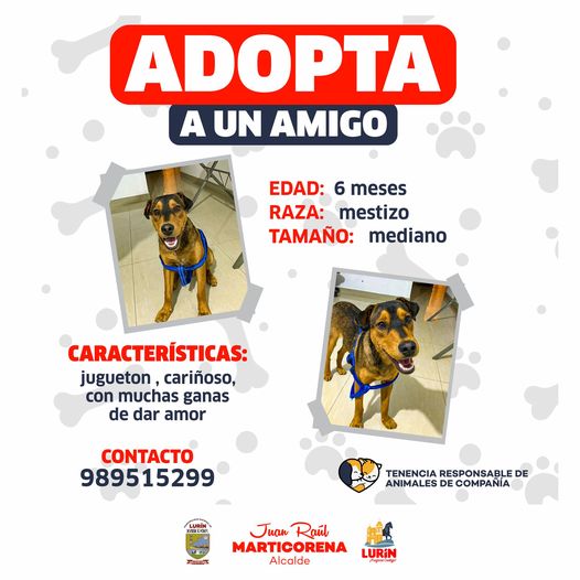 Archivo de JPG sobre una publicación del área de imagen