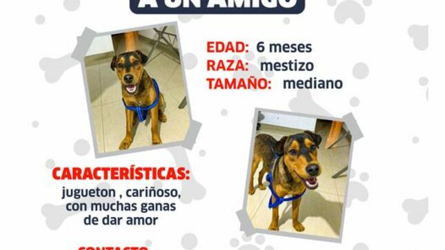 Archivo de JPG sobre una publicación del área de imagen