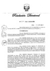 Vista preliminar de documento RD N° 228-2023